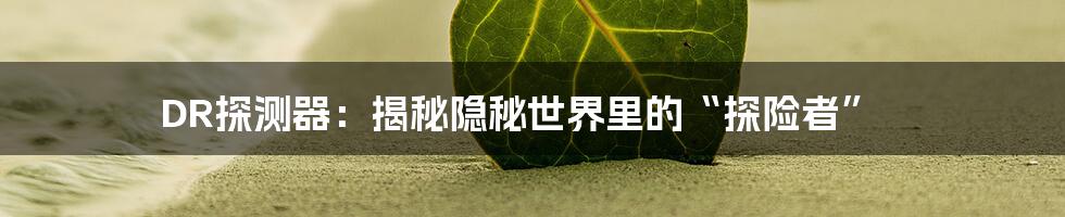 DR探测器：揭秘隐秘世界里的“探险者”