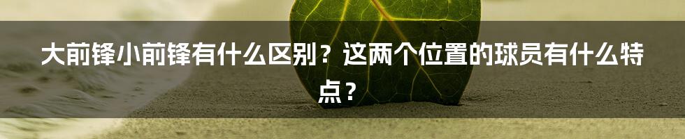 大前锋小前锋有什么区别？这两个位置的球员有什么特点？