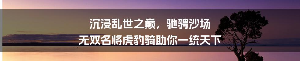 沉浸乱世之巅，驰骋沙场 无双名将虎豹骑助你一统天下