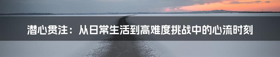 潜心贯注：从日常生活到高难度挑战中的心流时刻