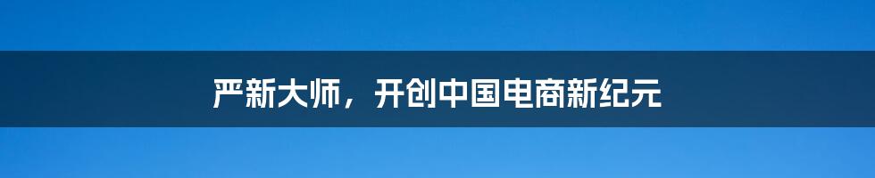 严新大师，开创中国电商新纪元