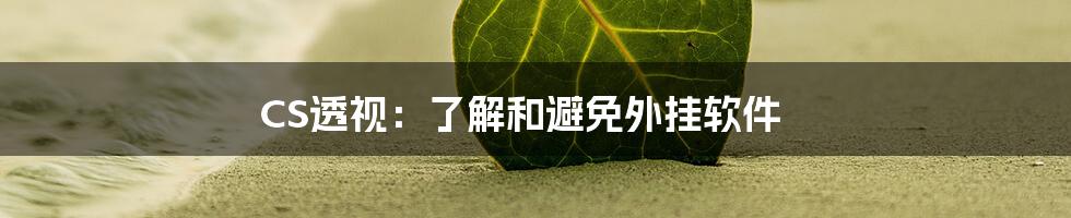 CS透视：了解和避免外挂软件