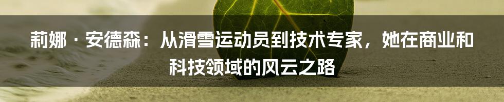 莉娜·安德森：从滑雪运动员到技术专家，她在商业和科技领域的风云之路