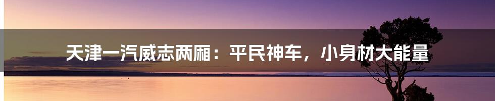 天津一汽威志两厢：平民神车，小身材大能量