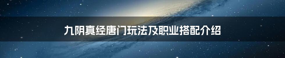 九阴真经唐门玩法及职业搭配介绍