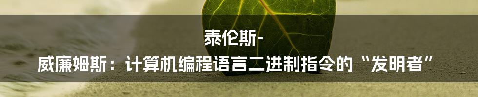 泰伦斯-威廉姆斯：计算机编程语言二进制指令的“发明者”