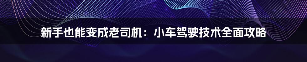 新手也能变成老司机：小车驾驶技术全面攻略