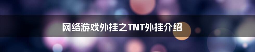 网络游戏外挂之TNT外挂介绍