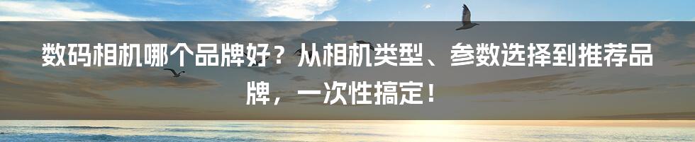 数码相机哪个品牌好？从相机类型、参数选择到推荐品牌，一次性搞定！