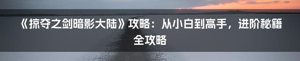 《掠夺之剑暗影大陆》攻略：从小白到高手，进阶秘籍全攻略