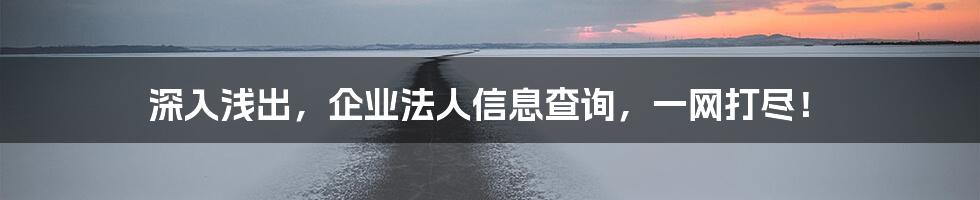 深入浅出，企业法人信息查询，一网打尽！