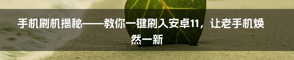 手机刷机揭秘——教你一键刷入安卓11，让老手机焕然一新