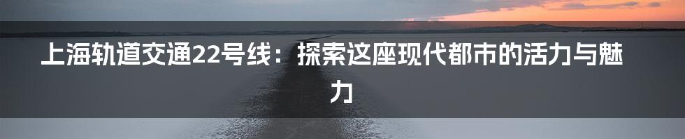 上海轨道交通22号线：探索这座现代都市的活力与魅力