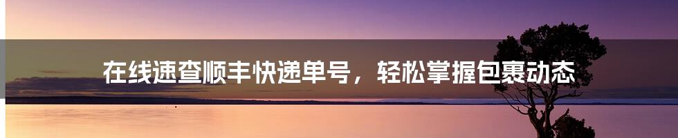 在线速查顺丰快递单号，轻松掌握包裹动态