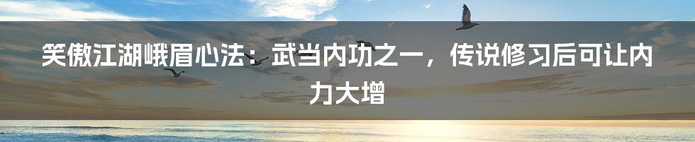 笑傲江湖峨眉心法：武当内功之一，传说修习后可让内力大增