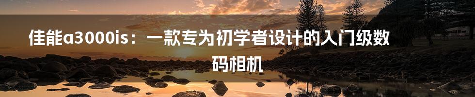 佳能a3000is：一款专为初学者设计的入门级数码相机