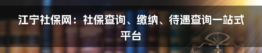 江宁社保网：社保查询、缴纳、待遇查询一站式平台