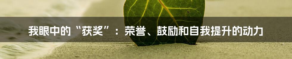 我眼中的“获奖”：荣誉、鼓励和自我提升的动力