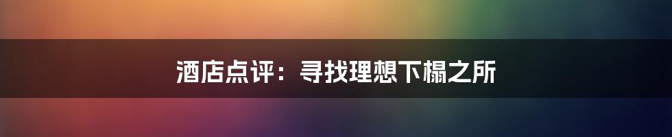 酒店点评：寻找理想下榻之所