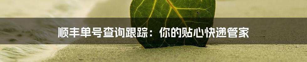 顺丰单号查询跟踪：你的贴心快递管家