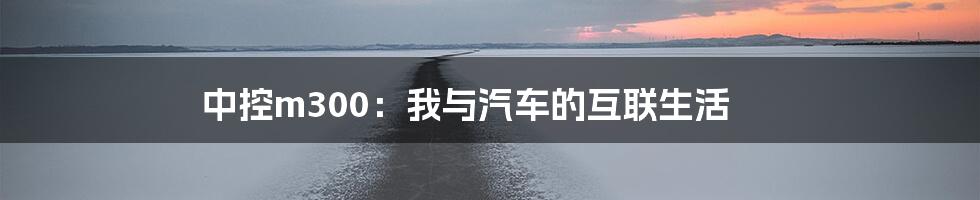 中控m300：我与汽车的互联生活