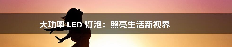 大功率 LED 灯泡：照亮生活新视界