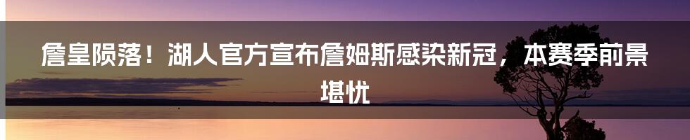 詹皇陨落！湖人官方宣布詹姆斯感染新冠，本赛季前景堪忧