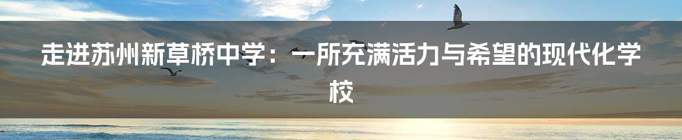 走进苏州新草桥中学：一所充满活力与希望的现代化学校