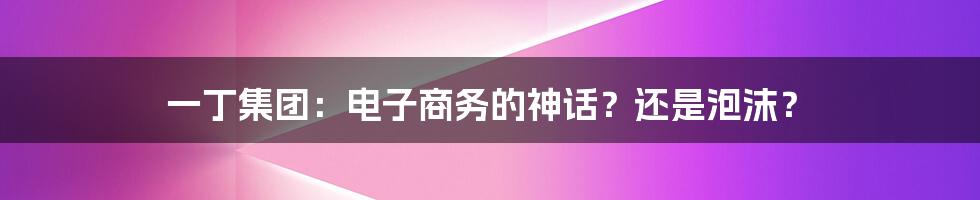 一丁集团：电子商务的神话？还是泡沫？