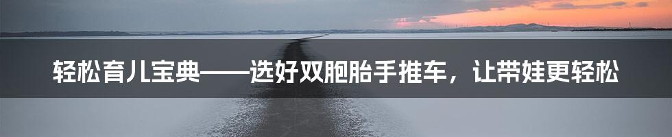 轻松育儿宝典——选好双胞胎手推车，让带娃更轻松