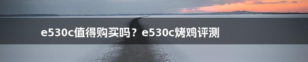 e530c值得购买吗？e530c烤鸡评测