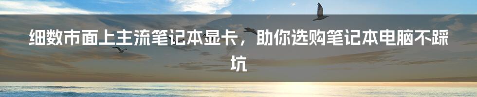 细数市面上主流笔记本显卡，助你选购笔记本电脑不踩坑