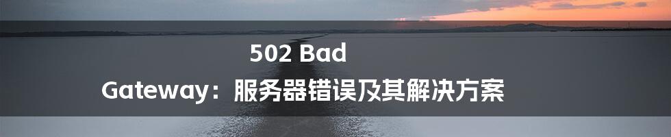 502 Bad Gateway：服务器错误及其解决方案