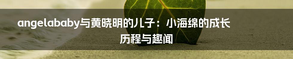 angelababy与黄晓明的儿子：小海绵的成长历程与趣闻