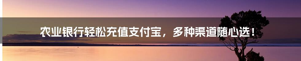 农业银行轻松充值支付宝，多种渠道随心选！