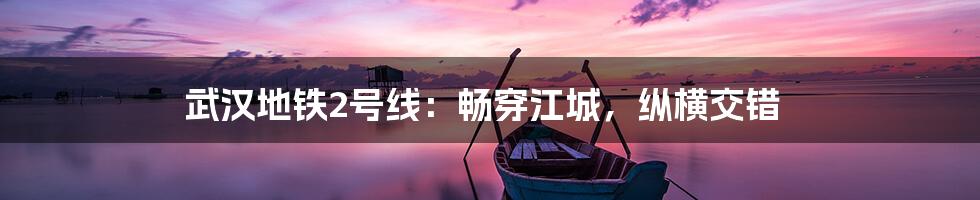 武汉地铁2号线：畅穿江城，纵横交错