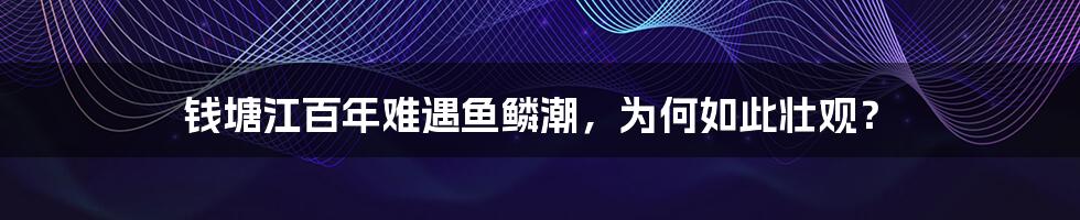 钱塘江百年难遇鱼鳞潮，为何如此壮观？