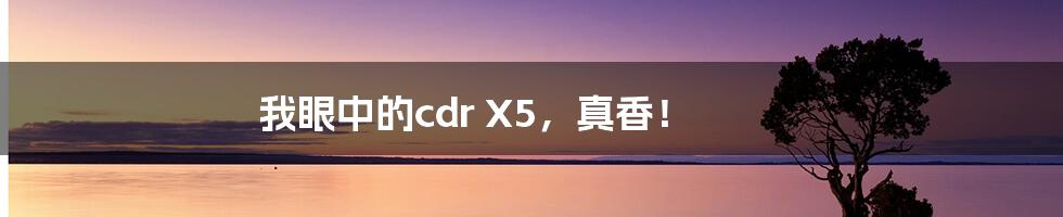 我眼中的cdr X5，真香！