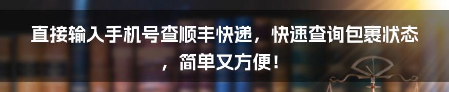 直接输入手机号查顺丰快递，快速查询包裹状态，简单又方便！