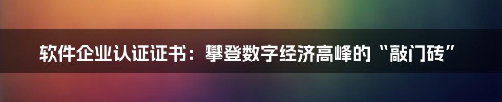 软件企业认证证书：攀登数字经济高峰的“敲门砖”