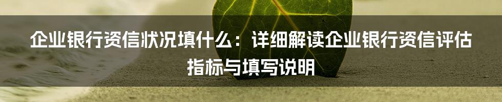 企业银行资信状况填什么：详细解读企业银行资信评估指标与填写说明