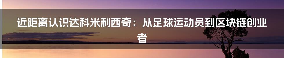 近距离认识达科米利西奇：从足球运动员到区块链创业者