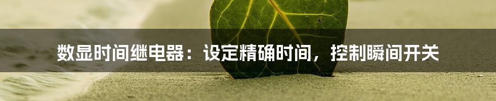 数显时间继电器：设定精确时间，控制瞬间开关