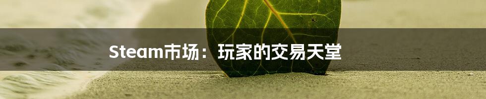 Steam市场：玩家的交易天堂