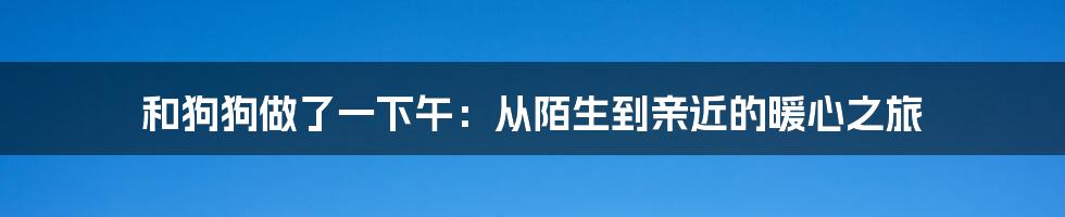 和狗狗做了一下午：从陌生到亲近的暖心之旅