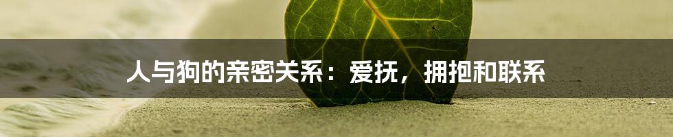 人与狗的亲密关系：爱抚，拥抱和联系