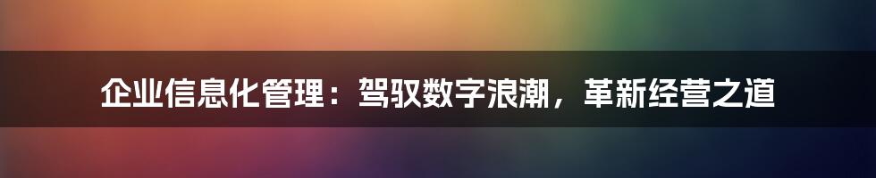 企业信息化管理：驾驭数字浪潮，革新经营之道