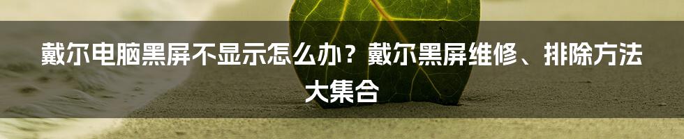 戴尔电脑黑屏不显示怎么办？戴尔黑屏维修、排除方法大集合