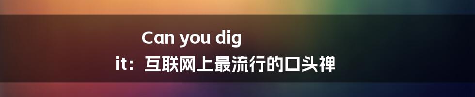 Can you dig it：互联网上最流行的口头禅