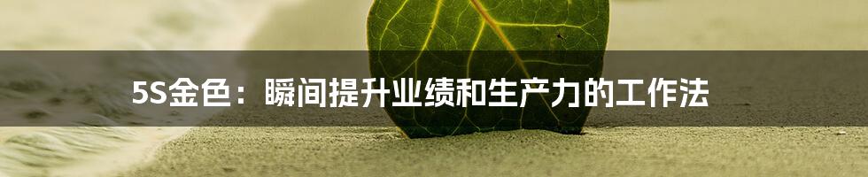 5S金色：瞬间提升业绩和生产力的工作法